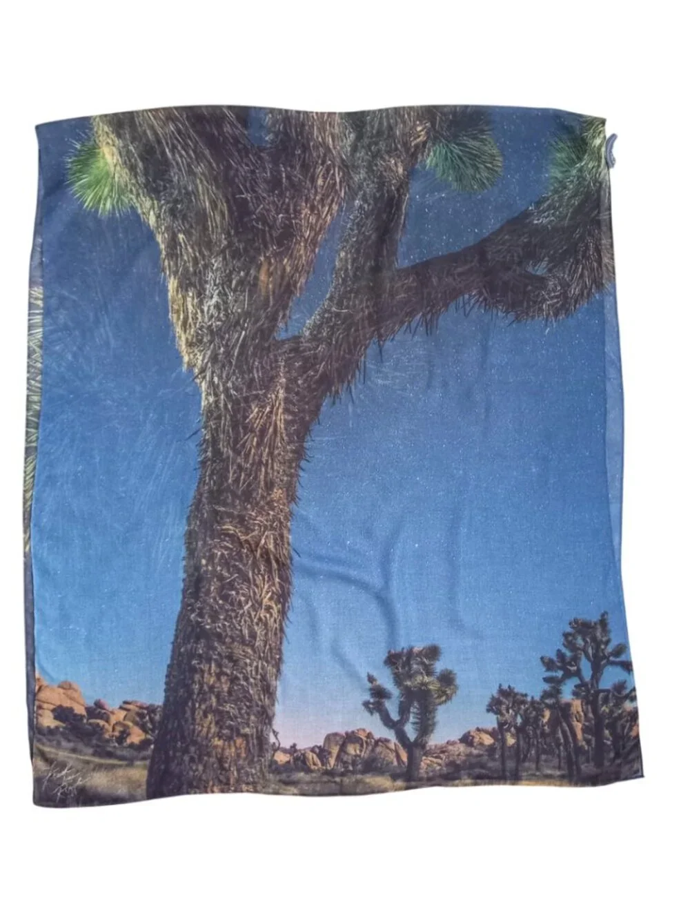 McGovern & Co Joshua Tree National Park Photo Scarf - Lightweight Shawl 72